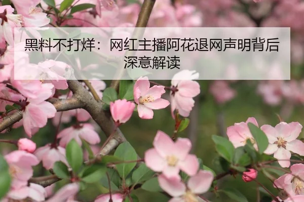 黑料不打烊：网红主播阿花退网声明背后深意解读